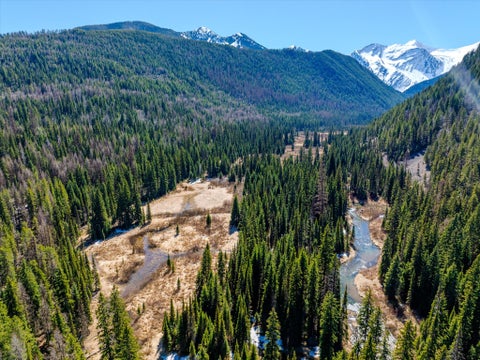 Tiny photo for 14265 US Hwy 2 E, Essex, MT 59916 (MLS # 30072080)