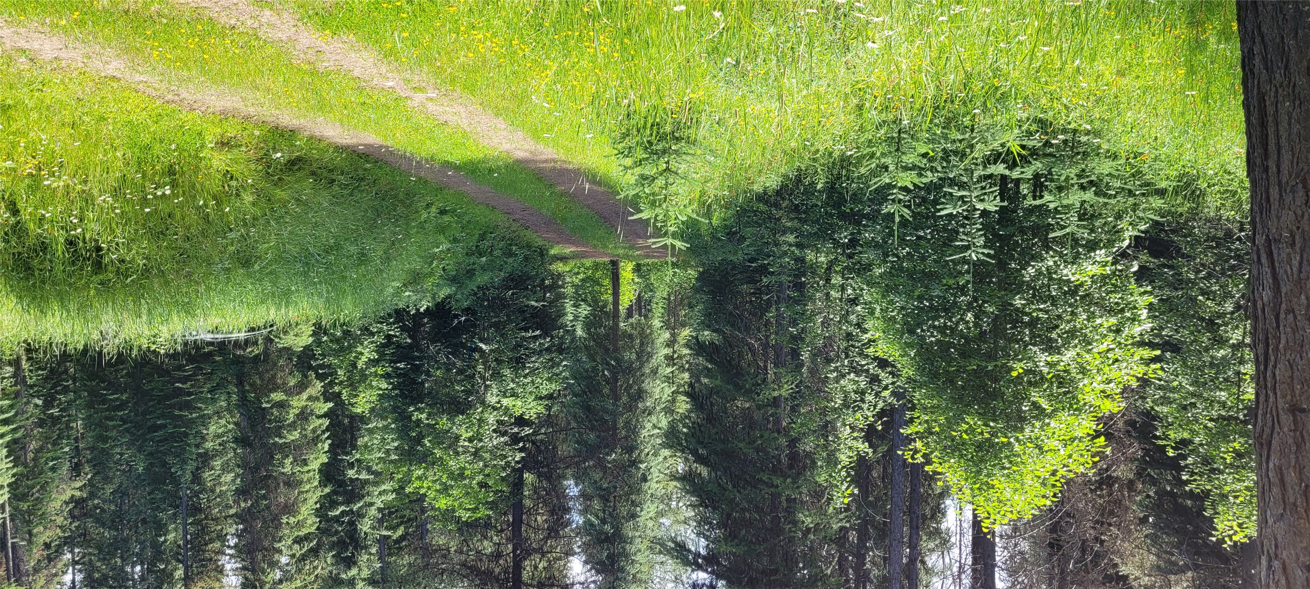 1442 & 1426 River View Drive