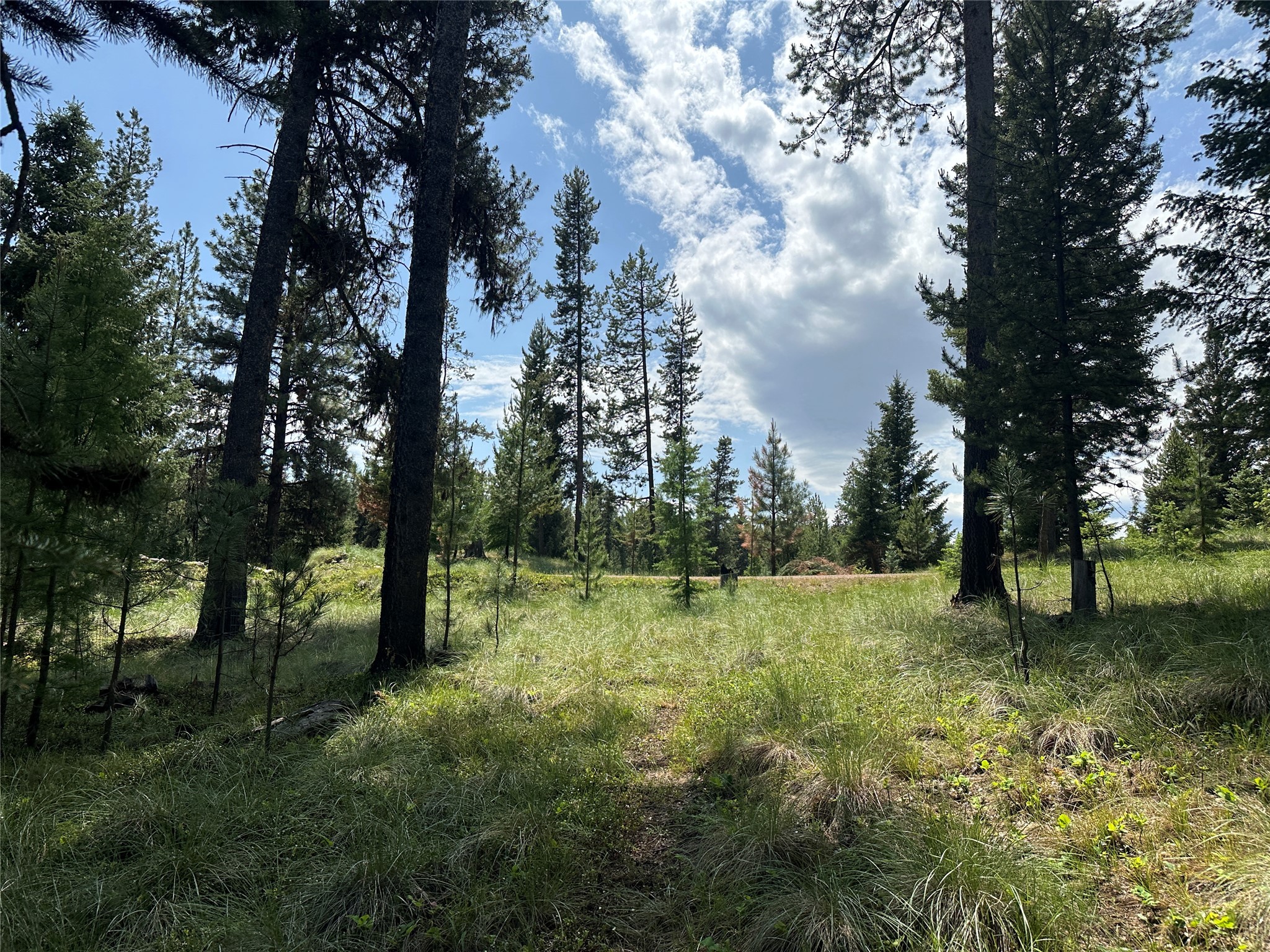 1148 Double Arrow Road