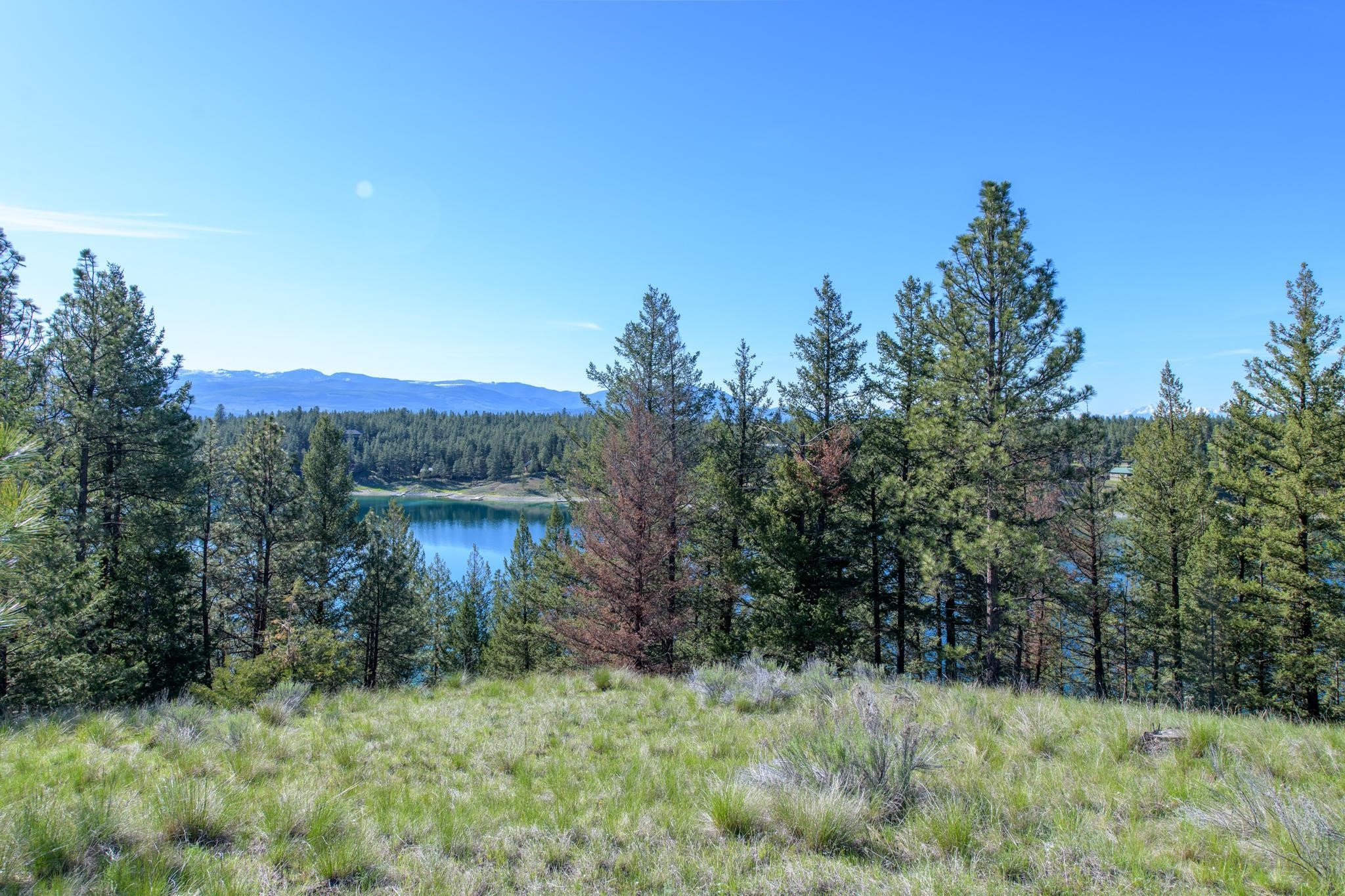 2650 Sophie Lake Road