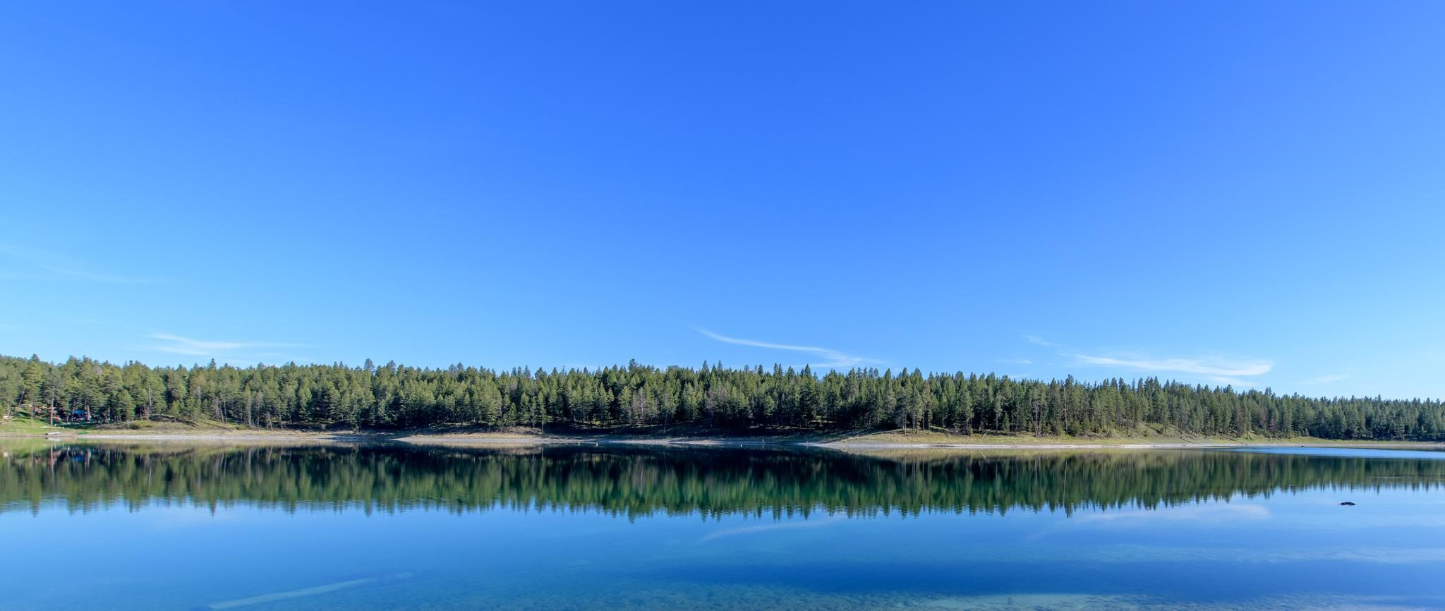 2650 Sophie Lake Road