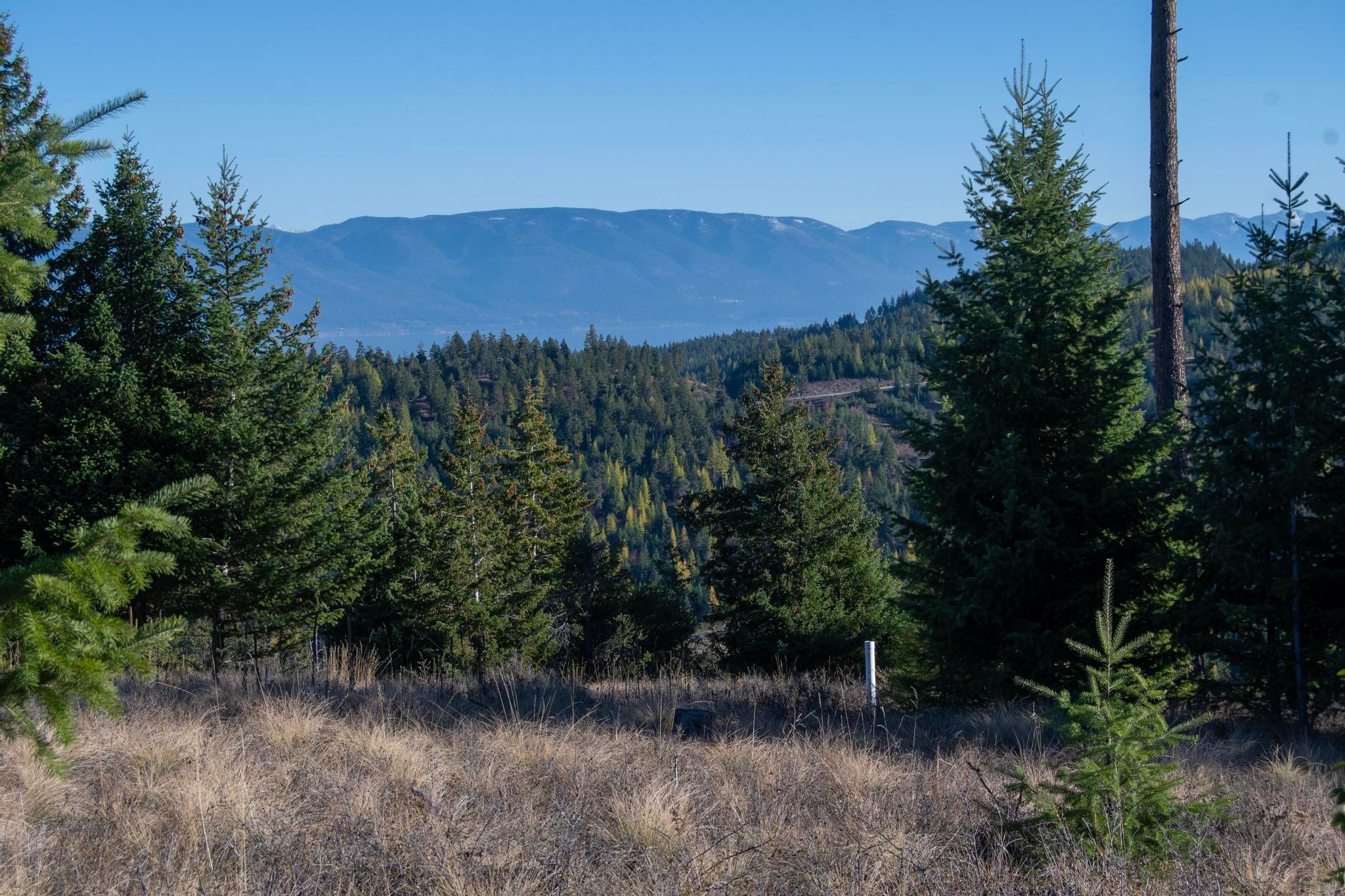 367 Ridge Line Drive
