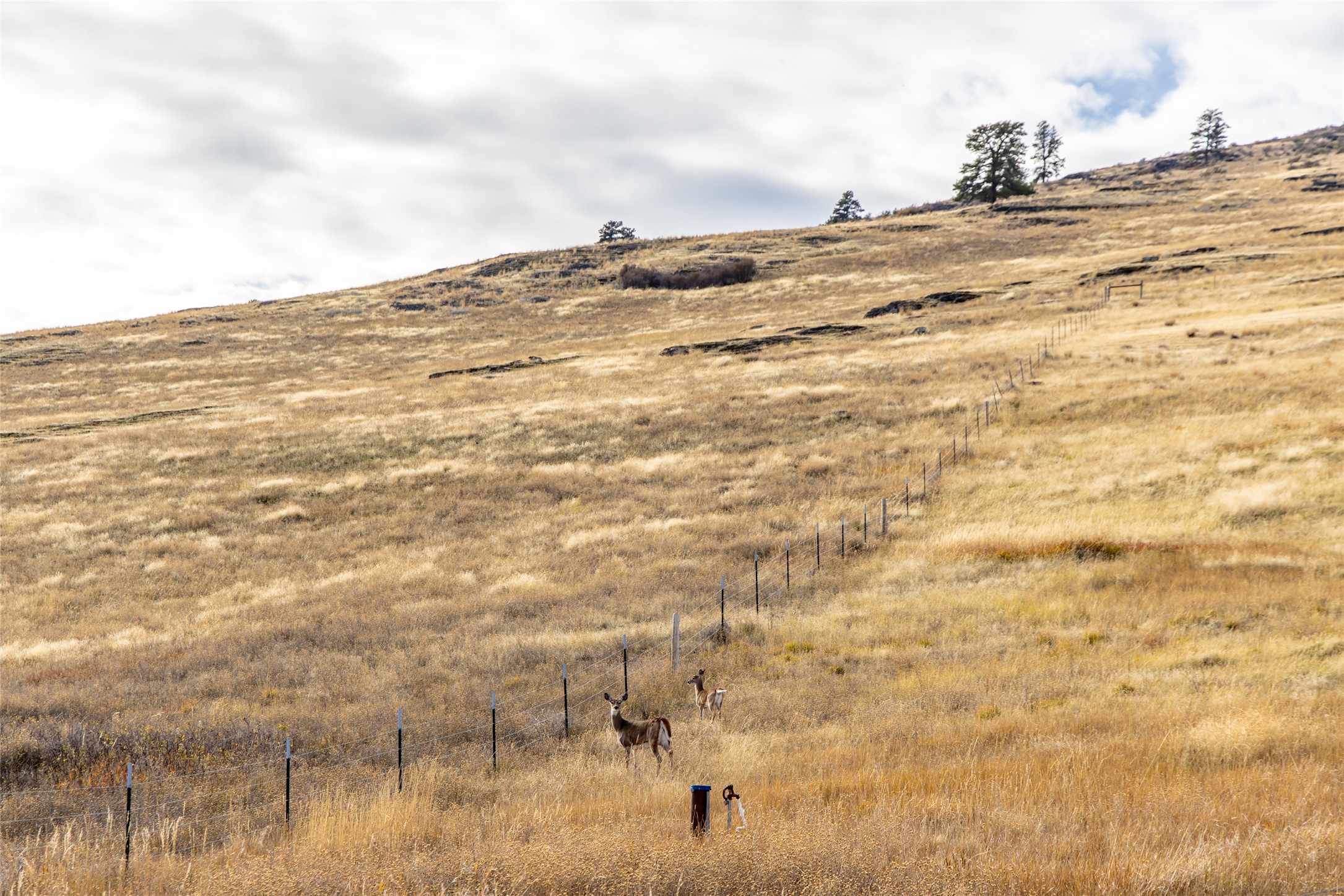 Polson, Montana 59860, United States, 6 Bedrooms Bedrooms, ,5 BathroomsBathrooms,Residential,Active,236796