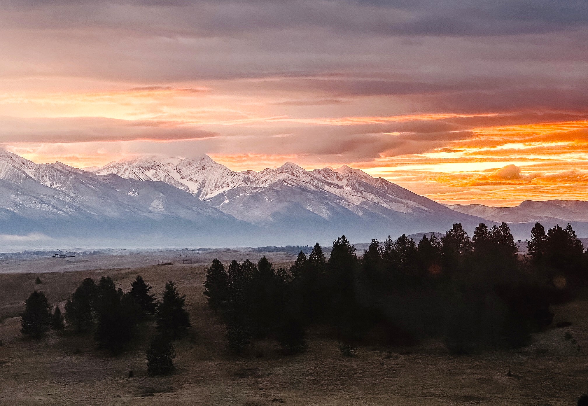 43232 Jumping Horse Lane