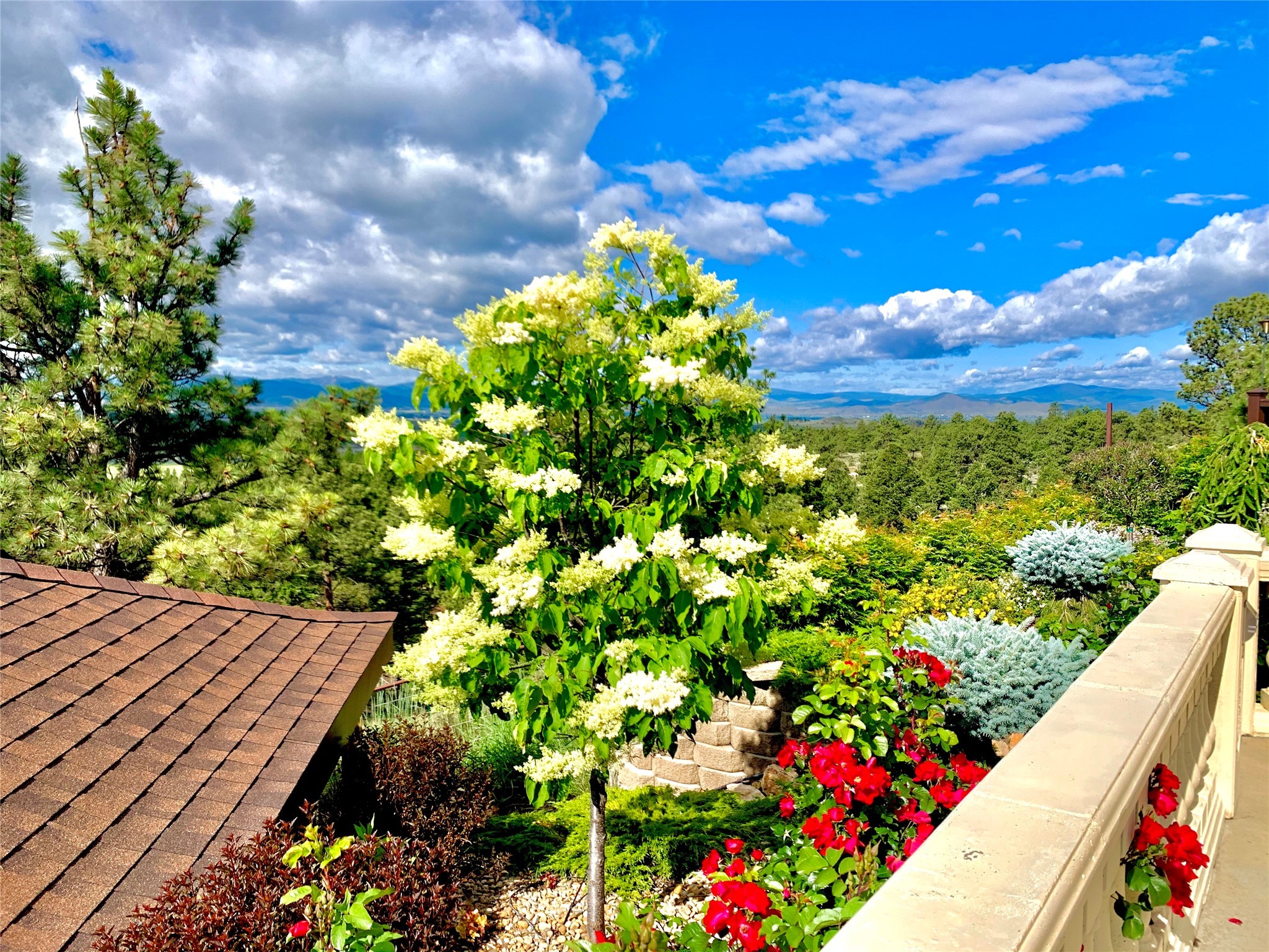 Helena, Montana 59602, United States, 5 Bedrooms Bedrooms, ,6 BathroomsBathrooms,Residential,Active,56938