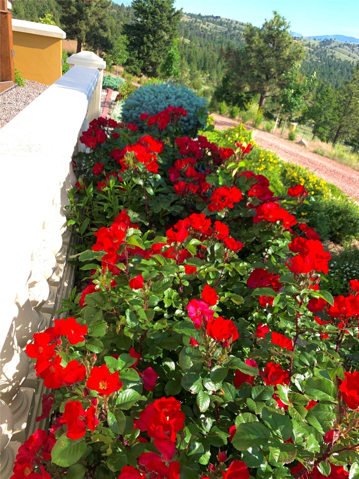 Helena, Montana 59602, United States, 5 Bedrooms Bedrooms, ,6 BathroomsBathrooms,Residential,Active,56938