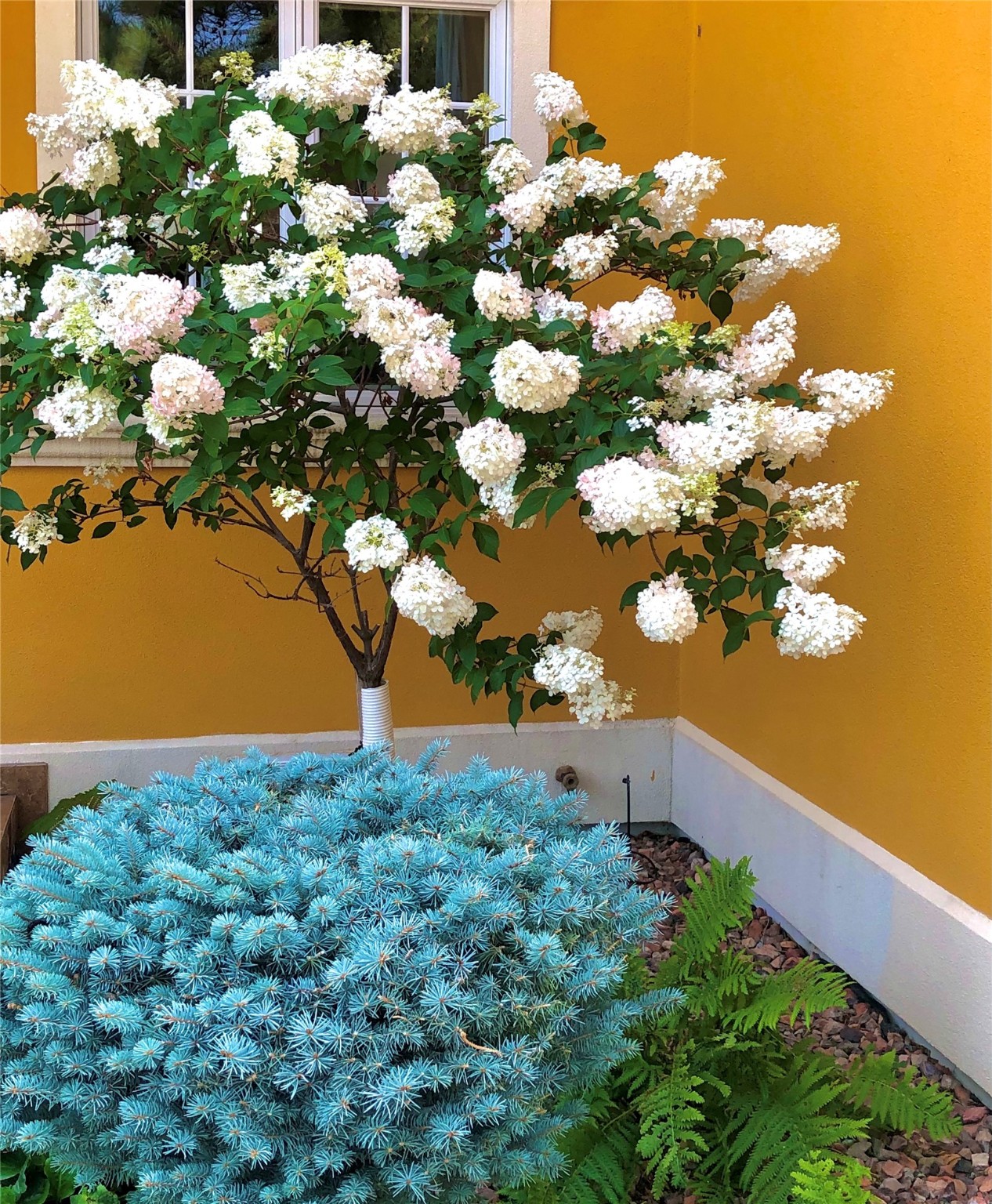 Helena, Montana 59602, United States, 5 Bedrooms Bedrooms, ,6 BathroomsBathrooms,Residential,Active,56938