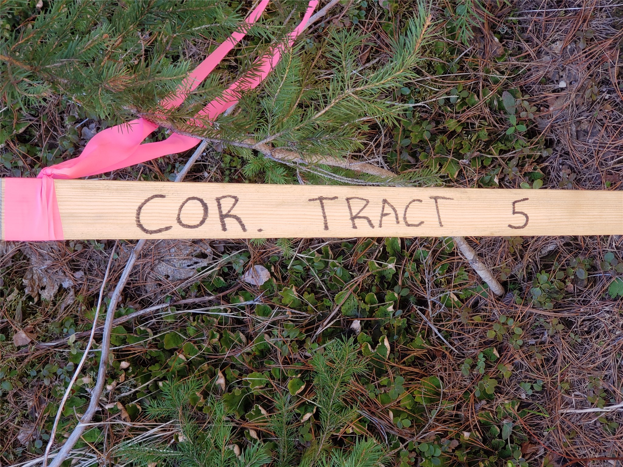 Tract 5 Nine Mile Road