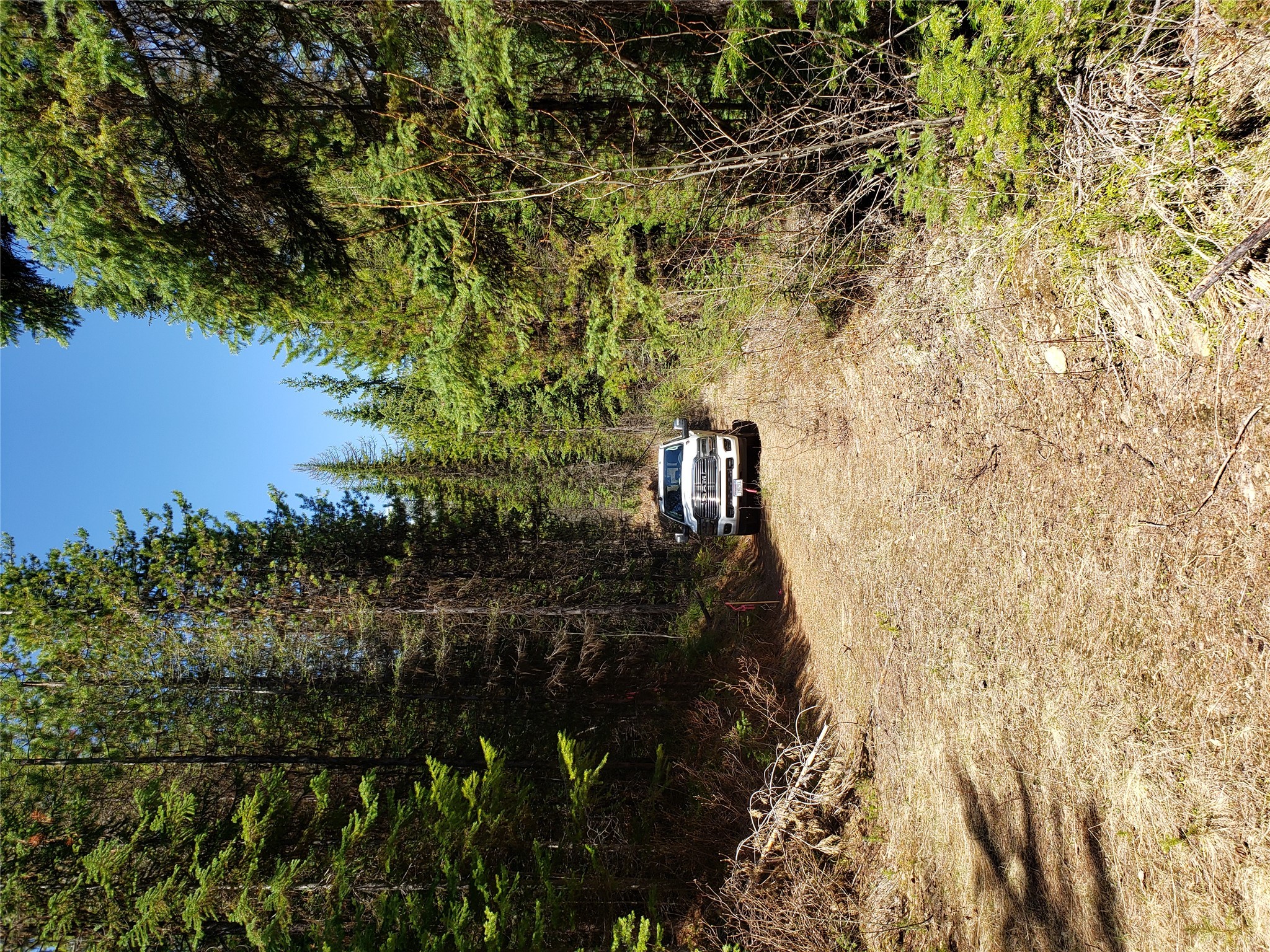 Tract 5 Nine Mile Road