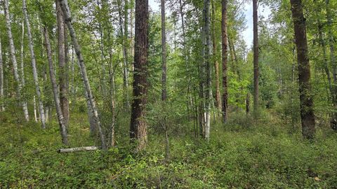 Photo of NHN North Fork Road, Polebridge, MT 59928 (MLS # 30060022)