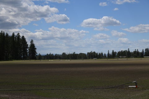 Tiny photo for 33259 Courville Trail, Polson, MT 59860 (MLS # 30073760)