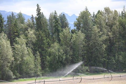 Tiny photo for 33259 Courville Trail, Polson, MT 59860 (MLS # 30073760)