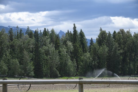 Tiny photo for 33259 Courville Trail, Polson, MT 59860 (MLS # 30073760)