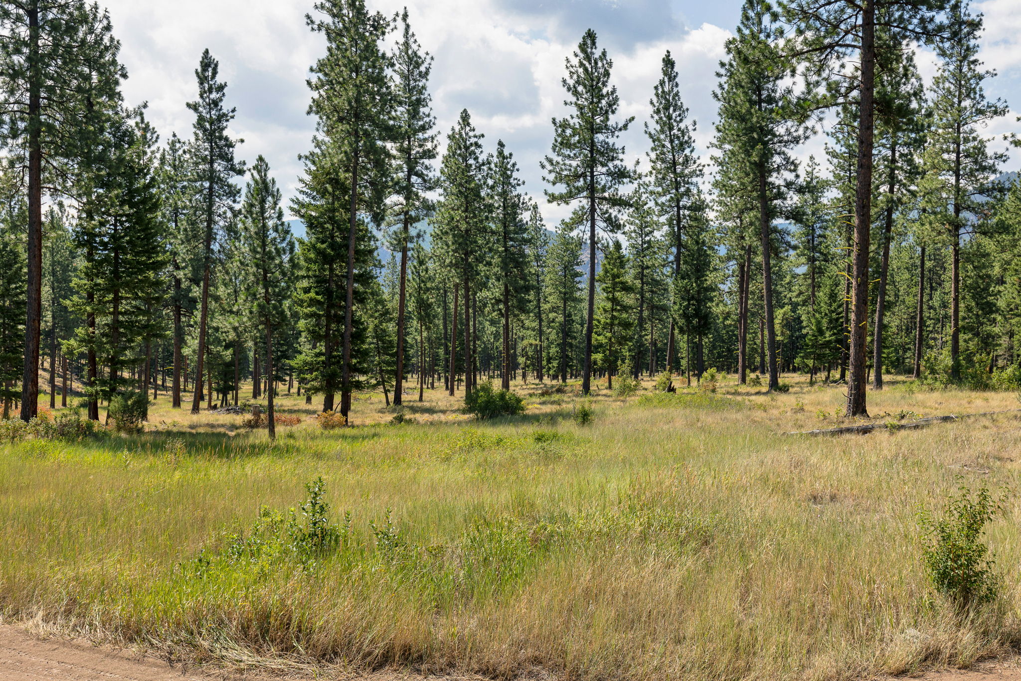 13902 Highland Trail