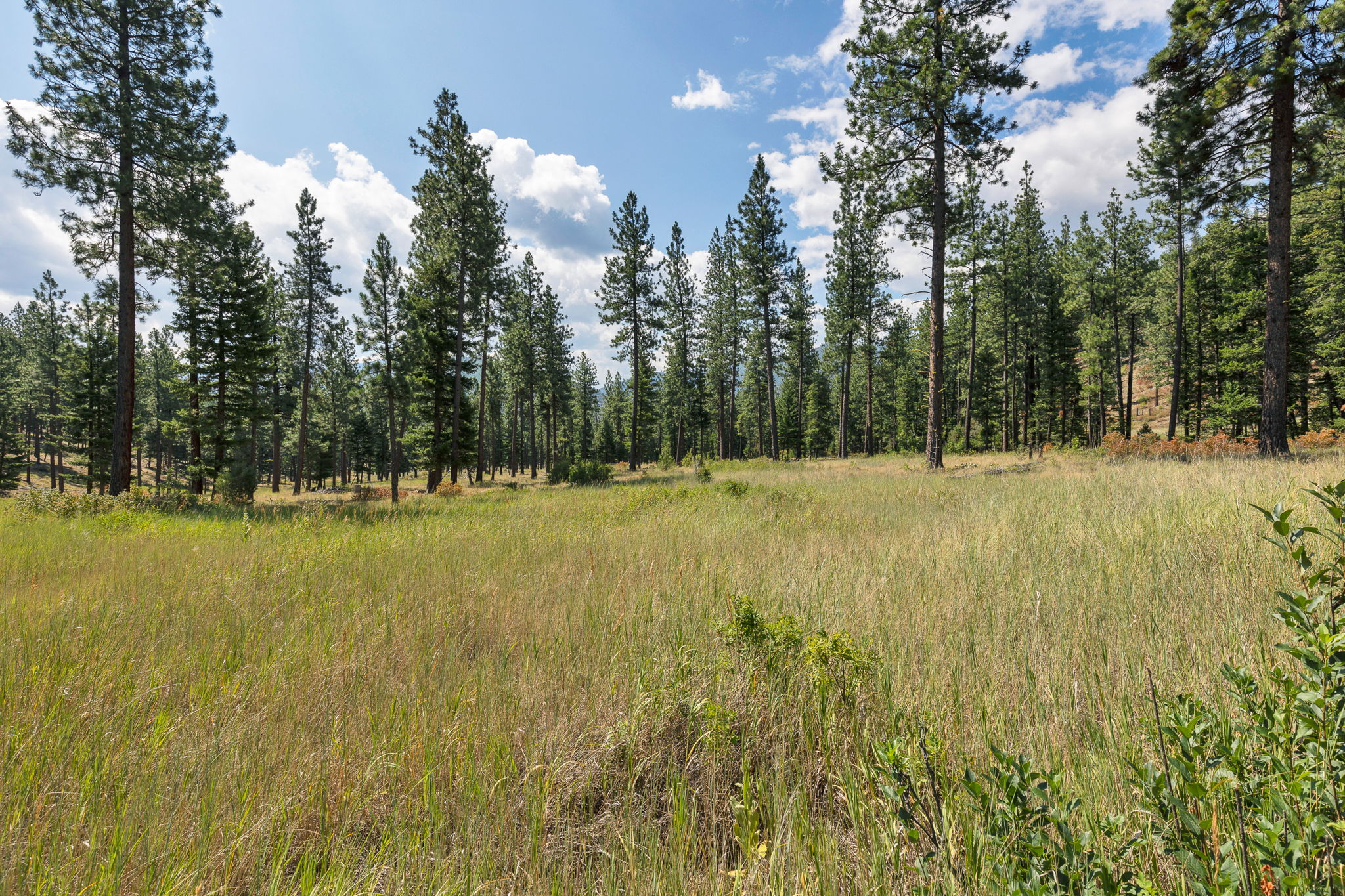 13902 Highland Trail