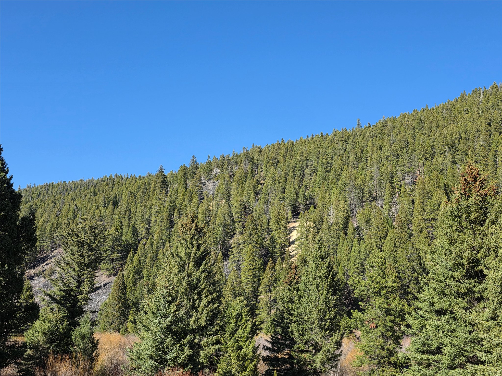 TBD Little Blackfoot Rvr Little Blackfoot River Road