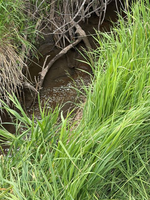 Tiny photo for TBD Moores Creek Court, Ennis, MT 59729 (MLS # 30073904)