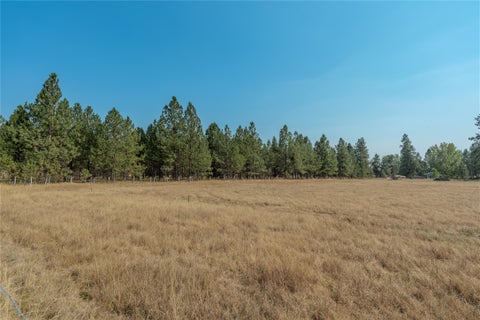 Tiny photo for 193 Cormoret Loop, Florence, MT 59833 (MLS # 30075809)