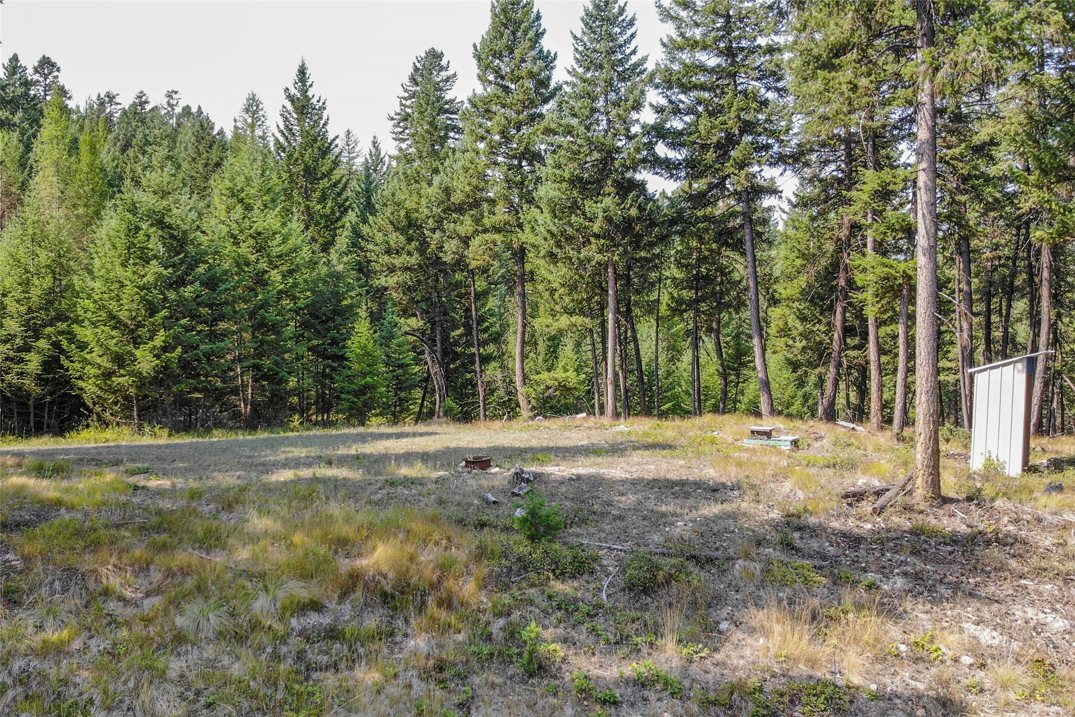 202 Grizzly Gulch Road