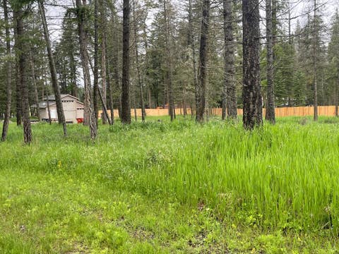 Tiny photo for 4496 Us Hwy 93 S, Whitefish, MT 59937 (MLS # 30065752)