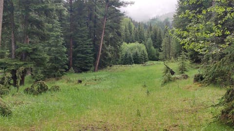 Tiny photo for 424 Whitebear Road, Kila, MT 59920 (MLS # 30072146)