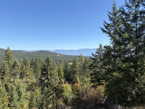 Photo of 41325 Big Lodge Lane, Rollins, MT 59931 (MLS # 30079586)