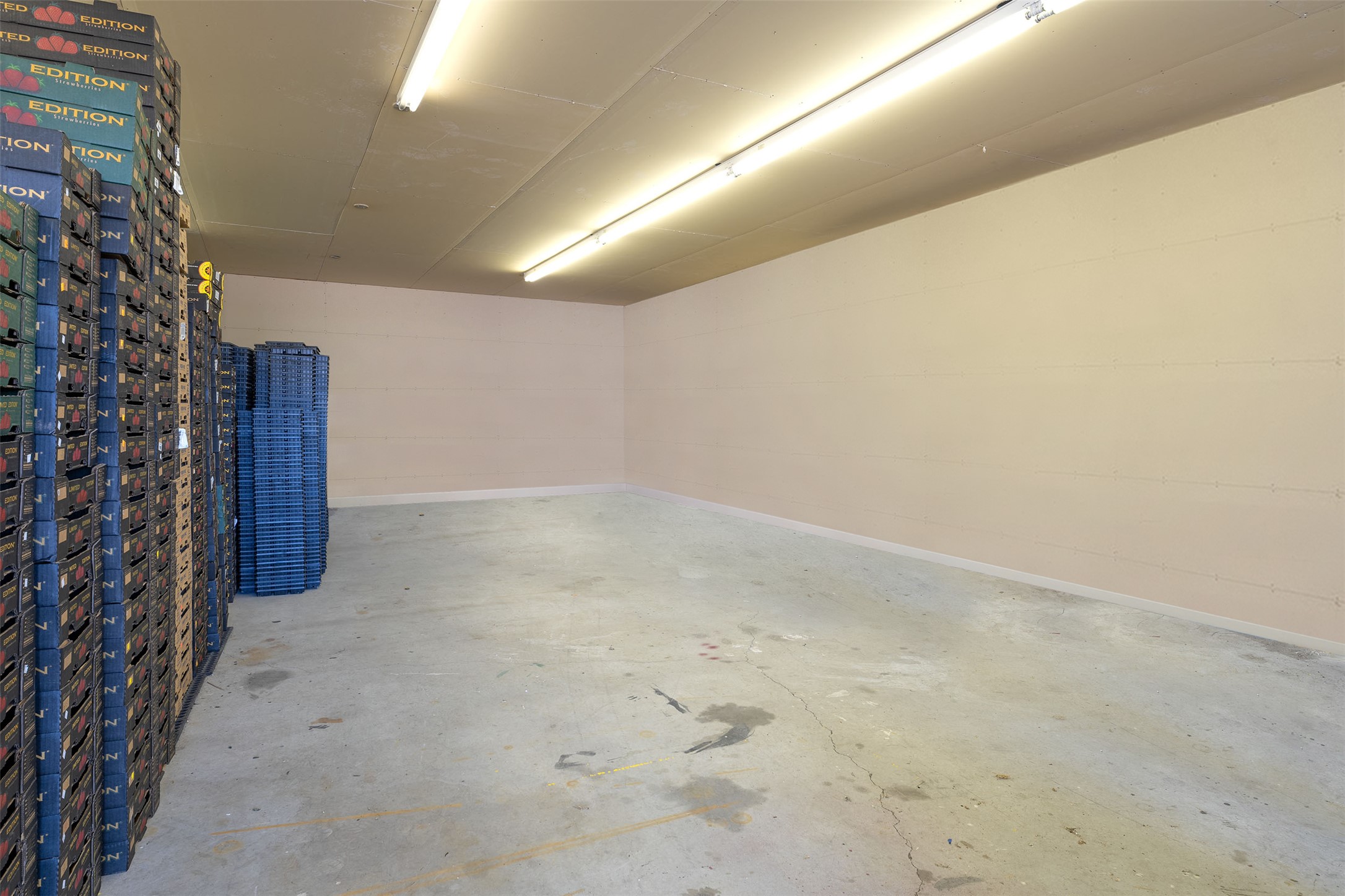 Polson, Montana 59860, United States, ,Commercial,Active,156794