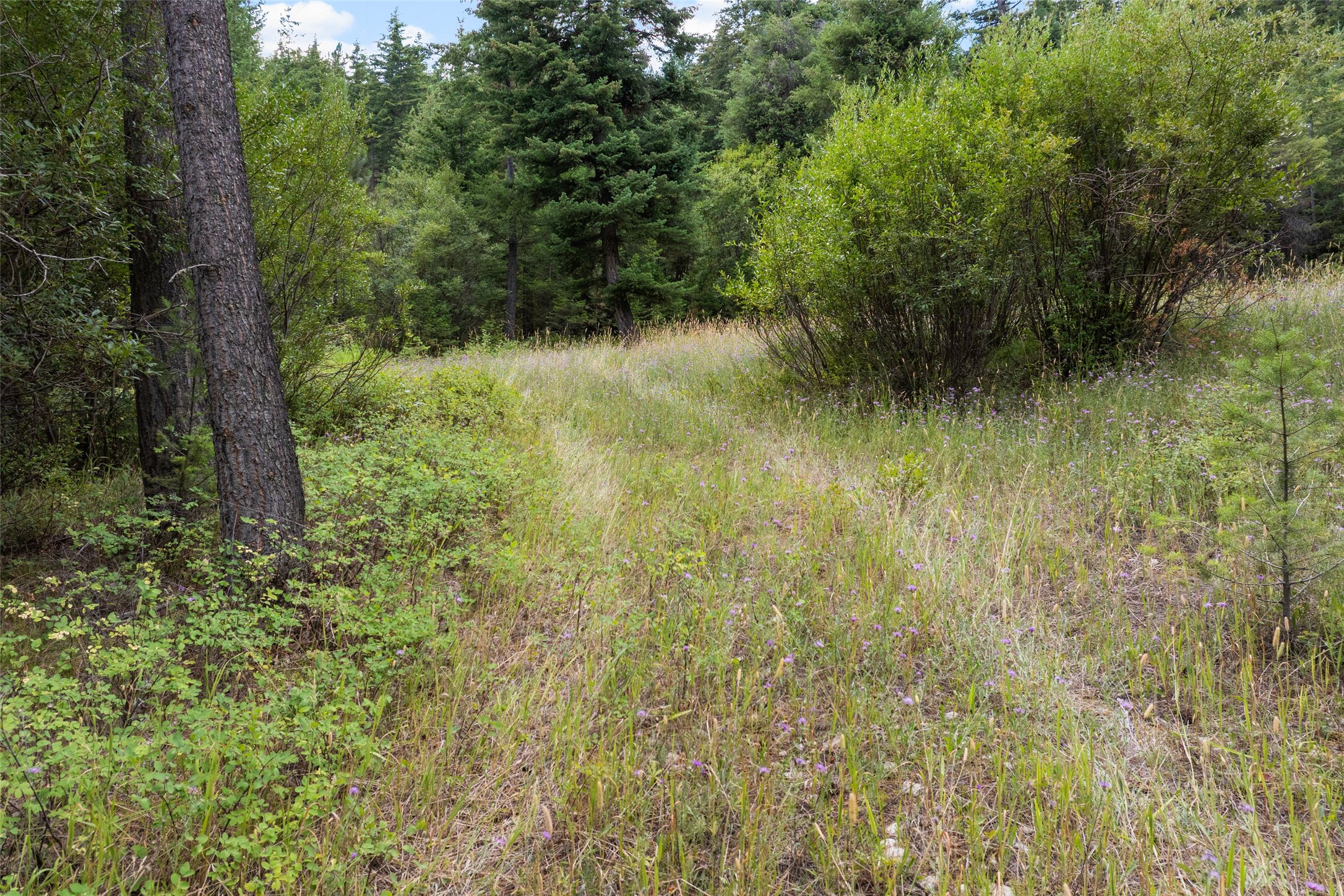 1925 Castle View Drive