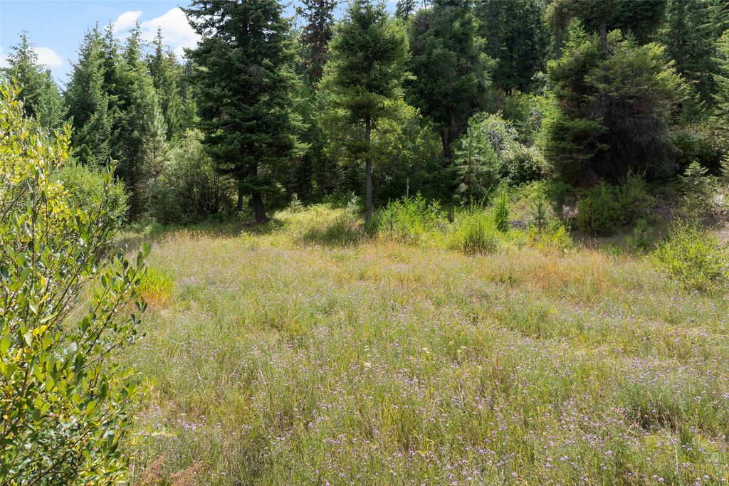 Photo of 1925 Castle View Drive, Victor, MT 59875 (MLS # 30055184)