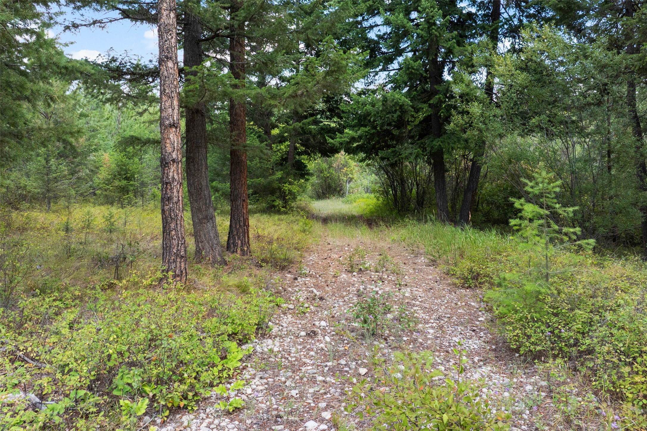 1925 Castle View Drive