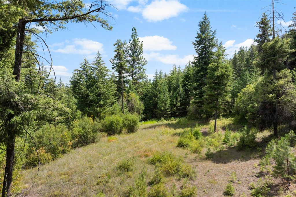 Photo of 1925 Castle View Drive, Victor, MT 59875 (MLS # 30055184)
