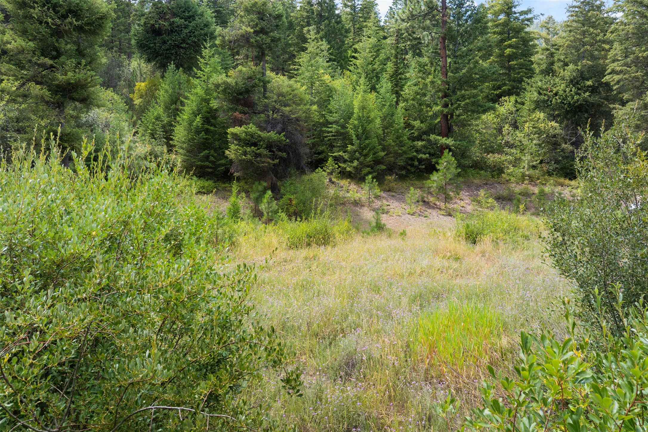 1925 Castle View Drive