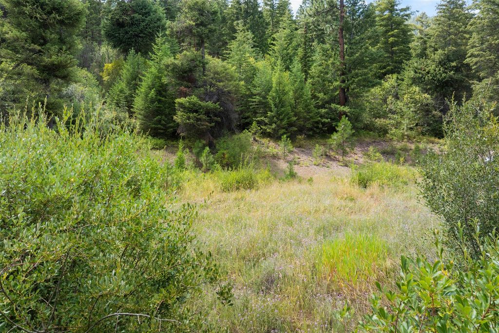 Photo of 1925 Castle View Drive, Victor, MT 59875 (MLS # 30055184)