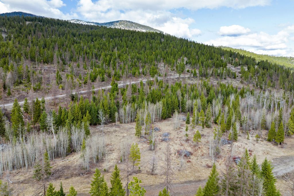 Photo of 991 Haskill Ranch Road, Kila, MT 59920 (MLS # 30068134)