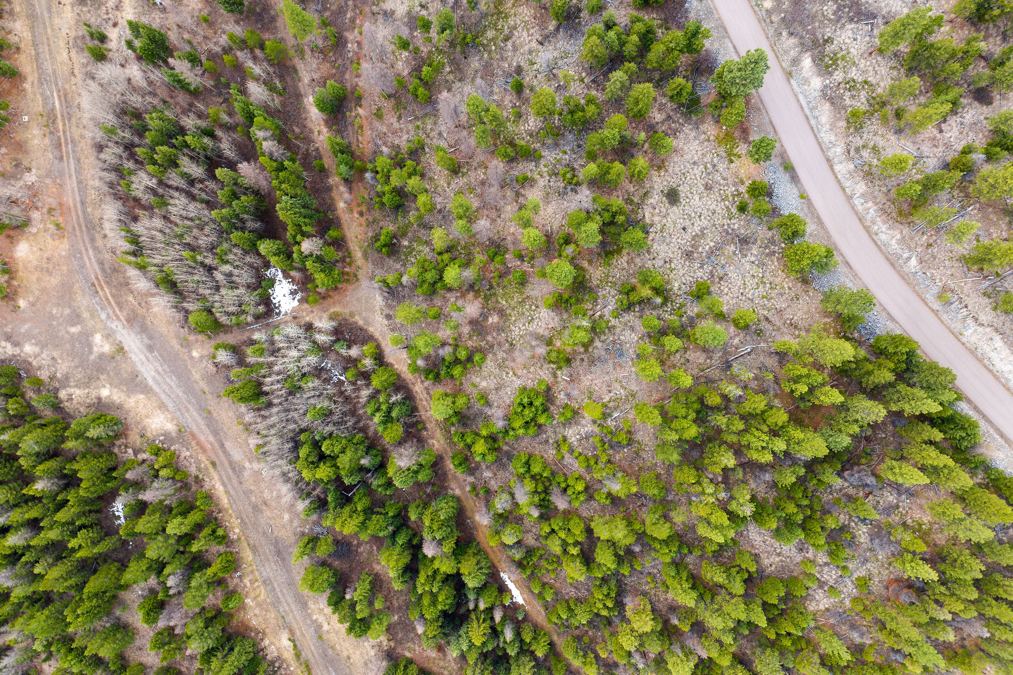 991 Haskill Ranch Road