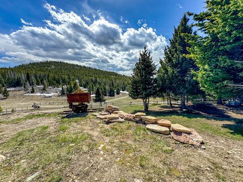 Tiny photo for 6570 Blossburg Road, Canyon Creek, MT 59633 (MLS # 30069802)