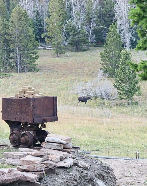 Tiny photo for 6570 Blossburg Road, Canyon Creek, MT 59633 (MLS # 30069802)