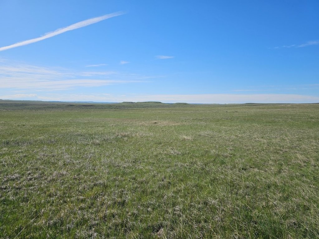 TBD Elk Creek Road