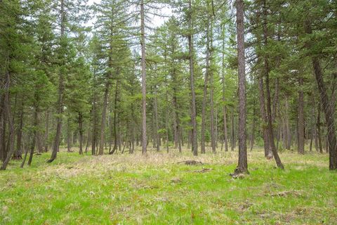 Tiny photo for NHN Bowdish Road, Kalispell, MT 59901 (MLS # 30067882)