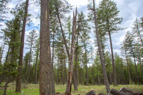 Tiny photo for NHN Bowdish Road, Kalispell, MT 59901 (MLS # 30067882)