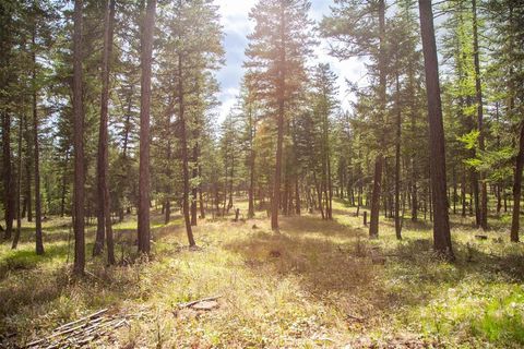 Tiny photo for NHN Bowdish Road, Kalispell, MT 59901 (MLS # 30067882)