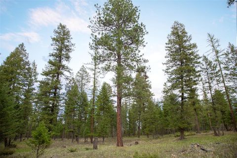 Tiny photo for NHN Bowdish Road, Kalispell, MT 59901 (MLS # 30067882)