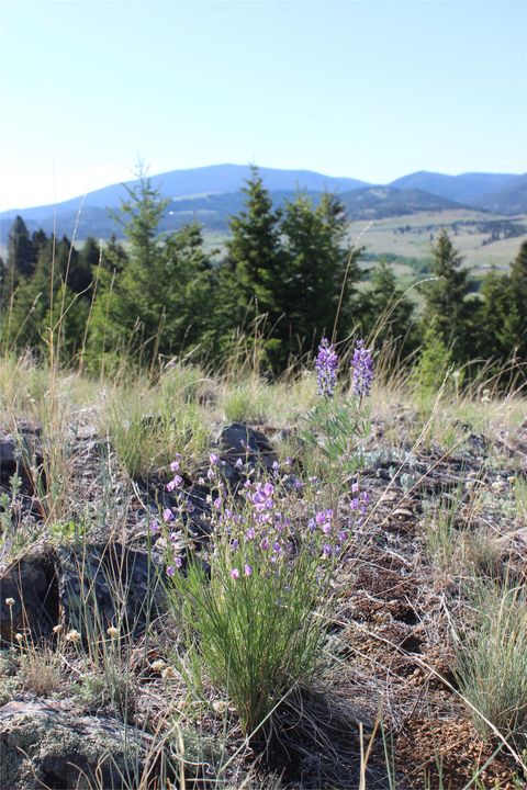 Tiny photo for NHN Austin Road, Helena, MT 59601 (MLS # 30051727)