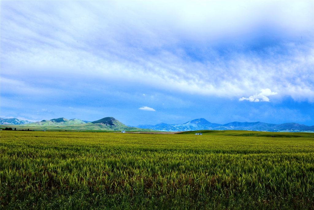 Photo of Lot 2 Whiskey Flat Road, Highwood, MT 59450 (MLS # 30068083)