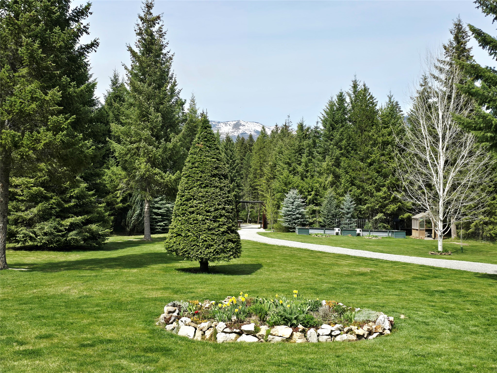 42 Ponderosa Lane