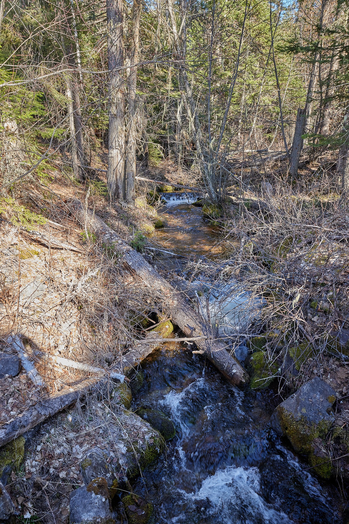 NHN Swan Lake Overlook