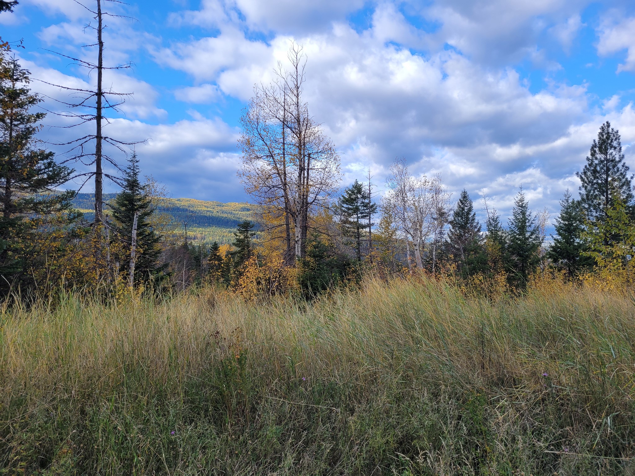 NHN Swan Lake Overlook