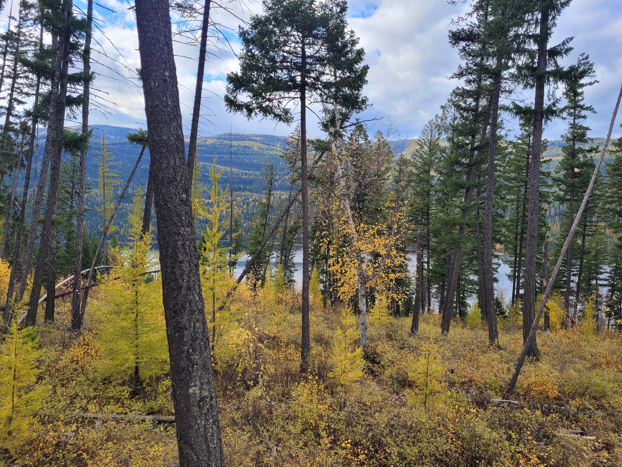 NHN Swan Lake Overlook