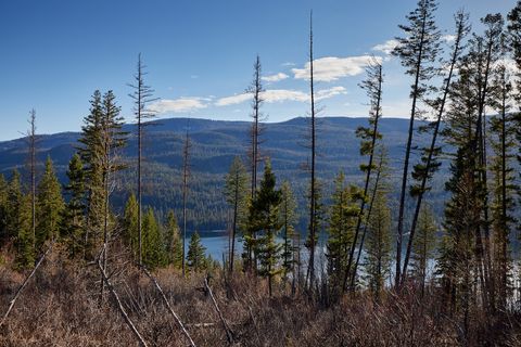 NHN Swan Lake Overlook Bigfork MT 59911