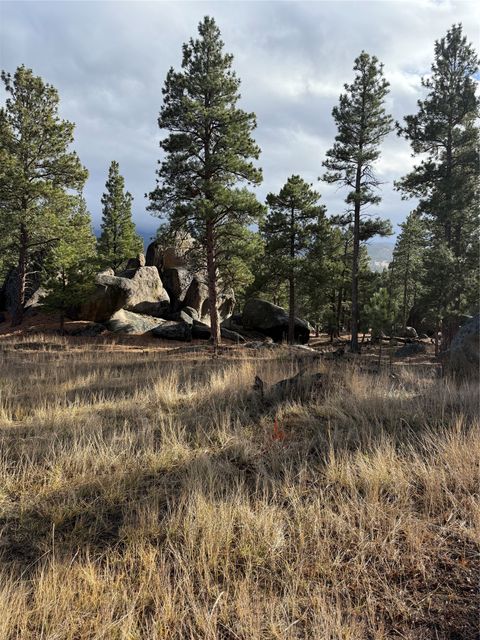 Tiny photo for 15 Old Abe Road, Clancy, MT 59634 (MLS # 30068153)